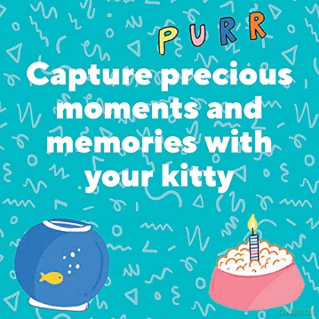 My Adorable Cat Journal - Chronicle Books [KALENDARZ]