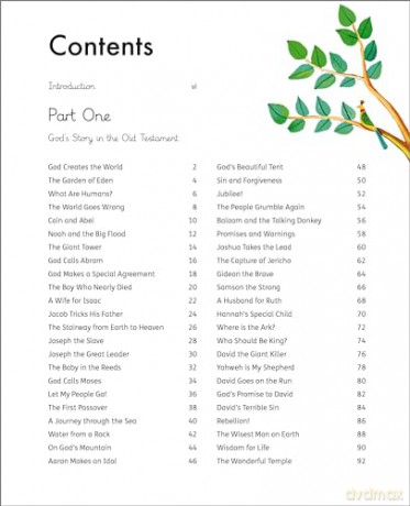 My Big Story Bible: 140 Faithful Stories, from Genesis to Revelation - Wright Tom [KSIĄŻKA]
