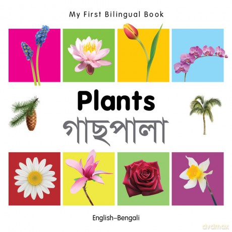 My First Bilingual Book-Plants (English-Bengali) [KSIĄŻKA]