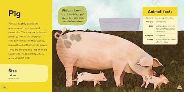 My First Book of Farm Animals (Zoe Ingram's My First Book of...) - Zoë Ingram [KSIĄŻKA]