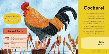 My First Book of Farm Animals (Zoe Ingram's My First Book of...) - Zoë Ingram [KSIĄŻKA]