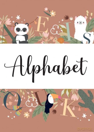 My First Cards - Alphabet - V Manuzzato [KSIĄŻKA]