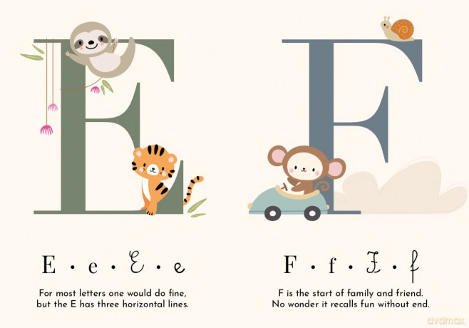 My First Cards - Alphabet - V Manuzzato [KSIĄŻKA]