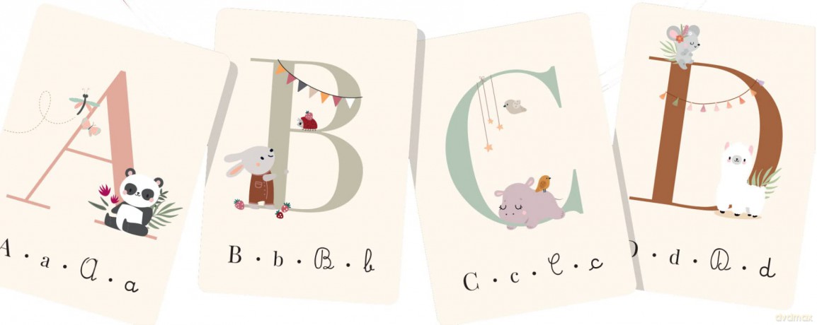 My First Cards - Alphabet - V Manuzzato [KSIĄŻKA]