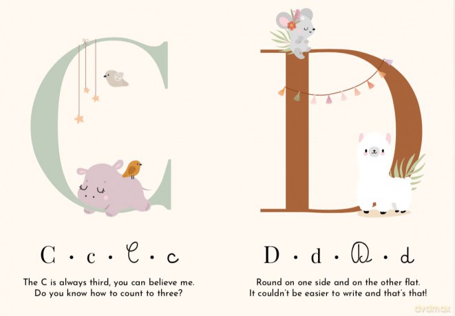 My First Cards - Alphabet - V Manuzzato [KSIĄŻKA]