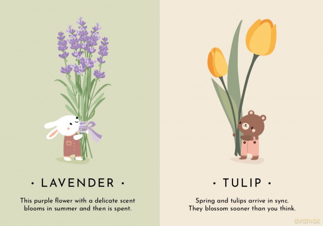 My First Cards- Nature - V Manuzzato [KSIĄŻKA]
