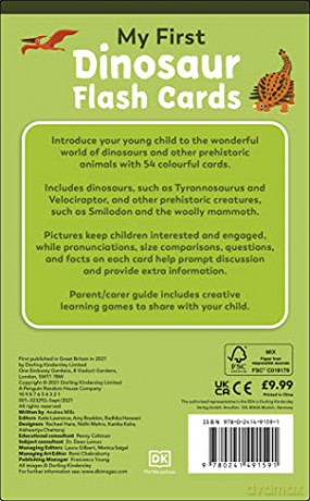 My First Dinosaur Flash Cards - Dk [KSIĄŻKA]