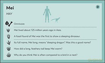 My First Dinosaur Flash Cards - Dk [KSIĄŻKA]