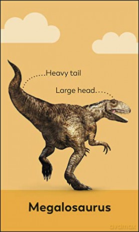 My First Dinosaur Flash Cards - Dk [KSIĄŻKA]