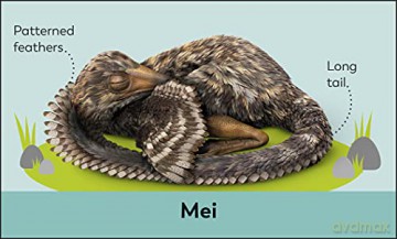 My First Dinosaur Flash Cards - Dk [KSIĄŻKA]