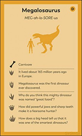 My First Dinosaur Flash Cards - Dk [KSIĄŻKA]