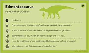 My First Dinosaur Flash Cards - Dk [KSIĄŻKA]