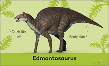 My First Dinosaur Flash Cards - Dk [KSIĄŻKA]