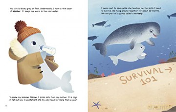 My Life as a Narwhal (My Life Cycle) - John Sazaklis [KSIĄŻKA]
