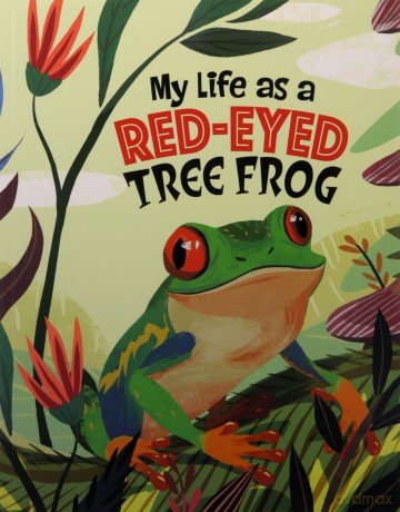 My Life as a Red-Eyed Tree Frog (My Life Cycle) - John Sazaklis [KSIĄŻKA]