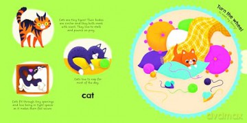 My Magic Wheel: Animals Around Me - Yoyo Books [KSIĄŻKA]