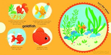 My Magic Wheel: Animals Around Me - Yoyo Books [KSIĄŻKA]