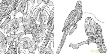 My Magical Oasis: Art Therapy Colouring Book for Creative Minds: Art Therapy Coloring Book for Creative Minds - Eglantine de La Fontaine [KSIĄŻKA]