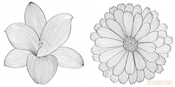 My Magical Oasis: Art Therapy Colouring Book for Creative Minds: Art Therapy Coloring Book for Creative Minds - Eglantine de La Fontaine [KSIĄŻKA]