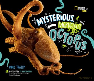 Mysterious, Marvelous Octopus! - Paige Towler [KSIĄŻKA]