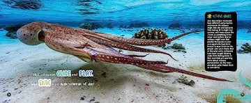 Mysterious, Marvelous Octopus! - Paige Towler [KSIĄŻKA]