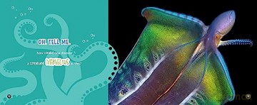 Mysterious, Marvelous Octopus! - Paige Towler [KSIĄŻKA]