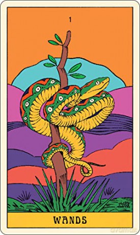 Mystical Forest Tarot: A 78-Card Deck and Guidebook - Cecilia Lattari [KSIĄŻKA]