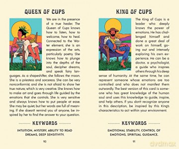 Mystical Forest Tarot: A 78-Card Deck and Guidebook - Cecilia Lattari [KSIĄŻKA]