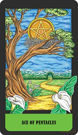 Mystical Realm Tarot: 78 Full-color Cards and 96-page Guidebook - Lisa Porter [KSIĄŻKA]