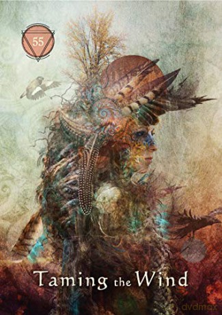 Mystical Shaman Oracle - Alberto Villoldo [KSIĄŻKA]