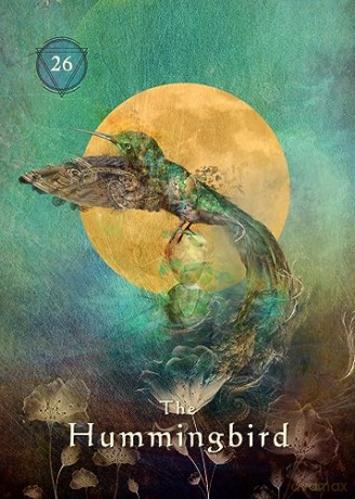 Mystical Shaman Pocket Oracle Cards: A 64-Card Deck and Guidebook - Alberto Villoldo [KSIĄŻKA]