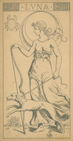 Naibi Di Giovanni Vacchetta: Torino 1893 - 78 full colour tarot cards and instructions Limited edition - 2,999 copies - Giovanni Vacchetta [KSIĄŻKA]