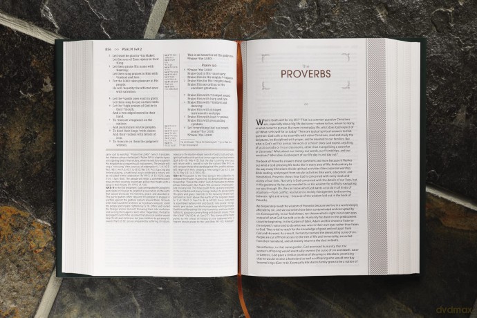 NASB, The Grace and Truth Study Bible, Hardcover, Green, Red Letter, 1995 Text, Comfort Print: New American Standard Bible, Green, Comfort Print, Red Print - Katty Baird [KSIĄŻKA]