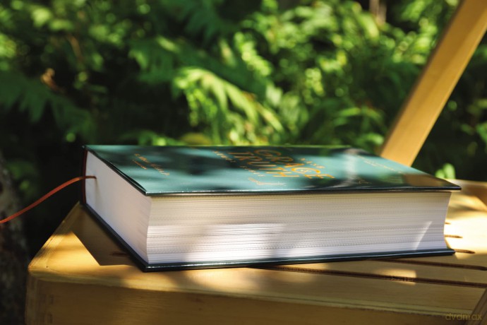 NASB, The Grace and Truth Study Bible, Hardcover, Green, Red Letter, 1995 Text, Comfort Print: New American Standard Bible, Green, Comfort Print, Red Print - Katty Baird [KSIĄŻKA]