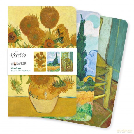 National Gallery: Van Gogh Set of 3 Mini Notebooks (Mini Notebook Collections) - Flame Tree Studio [KSIĄŻKA]