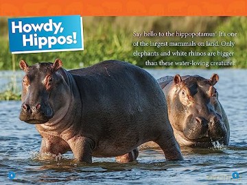 National Geographic Kids Hippos (Level 1) (National Geographic Kids, Level 1) - Maya Myers [KSIĄŻKA]
