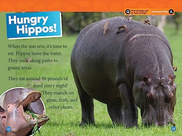 National Geographic Kids Hippos (Level 1) (National Geographic Kids, Level 1) - Maya Myers [KSIĄŻKA]