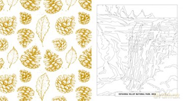 National Parks Coloring Book: Color Your Way Through America's Treasured Landscapes - More than 100 Pages to Color! - Editors of Chartwell Books [KSIĄŻKA]