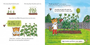National Trust: Sam Plants a Sunflower (Axel Scheffler National Trust Planting Books) - Kate Petty [KSIĄŻKA]
