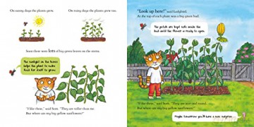 National Trust: Sam Plants a Sunflower (Axel Scheffler National Trust Planting Books) - Kate Petty [KSIĄŻKA]