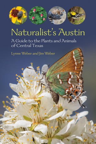 Naturalist's Austin: A Guide to the Plants and Animals of Central Texas (W. L. Moody Jr. Natural History Series) [KSIĄŻKA]