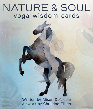 Nature and Soul Yoga Wisdom Cards - Alison Denicola [KSIĄŻKA]