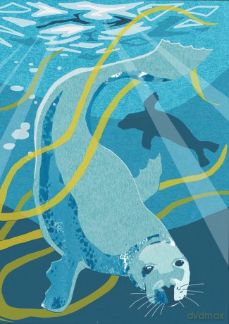 Nature Notebook: Seal - Jane Smith [KALENDARZ]
