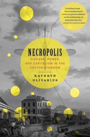 Necropolis: Disease, Power, and Capitalism in the Cotton Kingdom - Olivarius [KSIĄŻKA]