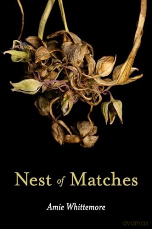 Nest of Matches - Amie Whittemore [KSIĄŻKA]