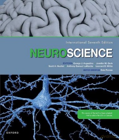Neuroscience [KSIĄŻKA]