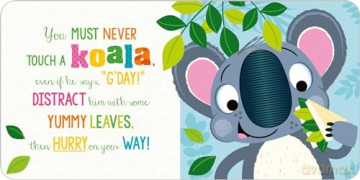 Never Touch a Koala Book and Touch and Feel Jigsaw Boxset - Rosie Greening [KSIĄŻKA]