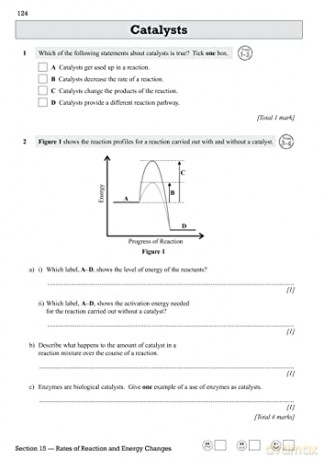 New GCSE Combined Science Edexcel Exam Practice Workbook - Foundation (includes answers): for the 2024 and 2025 exams (CGP Edexcel GCSE Combined Science) - CGP Books [KSIĄŻKA]