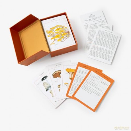 New York Botanical Garden Mushroom Identification Flashcards: 100 Common Mushrooms of North America - The New York Botanical Garden [KSIĄŻKA]
