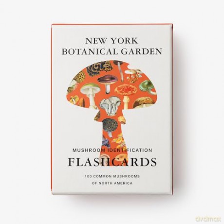 New York Botanical Garden Mushroom Identification Flashcards: 100 Common Mushrooms of North America - The New York Botanical Garden [KSIĄŻKA]